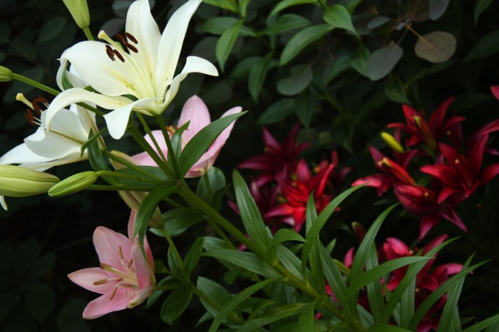 Hint: Consider them. They toil not.