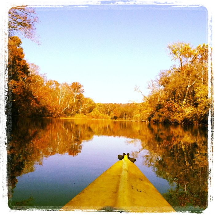 Kayak view