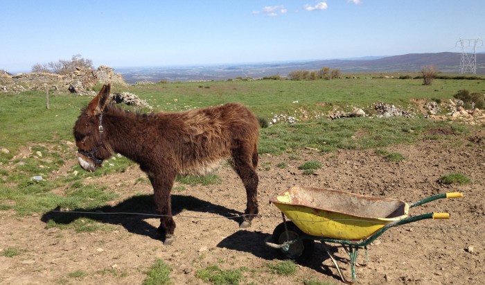 Do not behave like an ass.