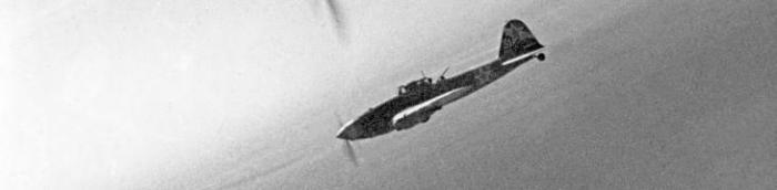 cropped-il-2s-no-text-on-back1
