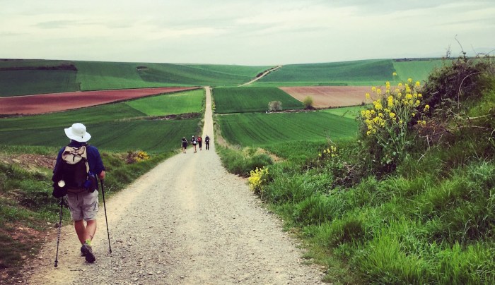 Long, hard day from Ventosa to Santo Domingo