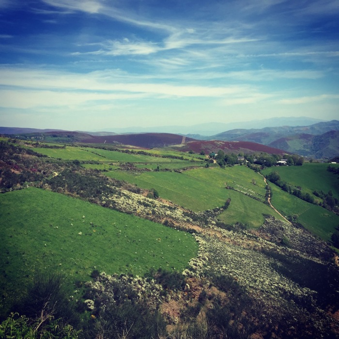 Galician hillside