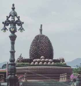 durian roundabout